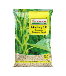 Sesame seed (Akshay – 111)