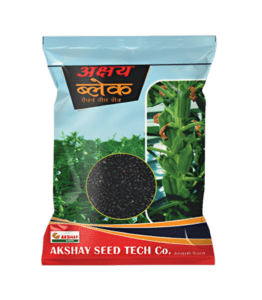 Sesame seed (Akshay Black)