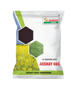 Mustard seed (Akshay-666)