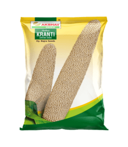 Bajra seeds (Akshay Kranti)