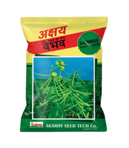 Green gram seed (Akshay Vaibhav)