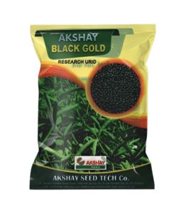 Black gram seed (Akshay Black Gold)