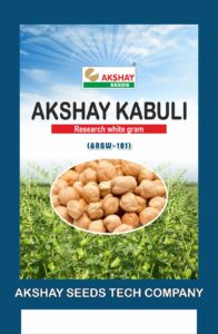 Chickpea seed (Akshay Kabuli) (ARGW-101)