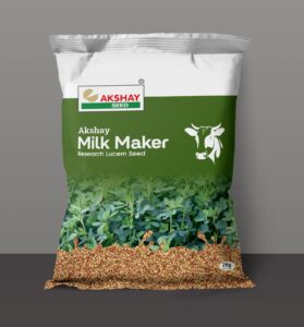 Rajka seed (tin sali) (Akshay Milk Maker)