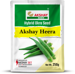 Best Okra seeds