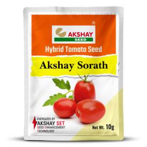 Organic Tomato Seeds